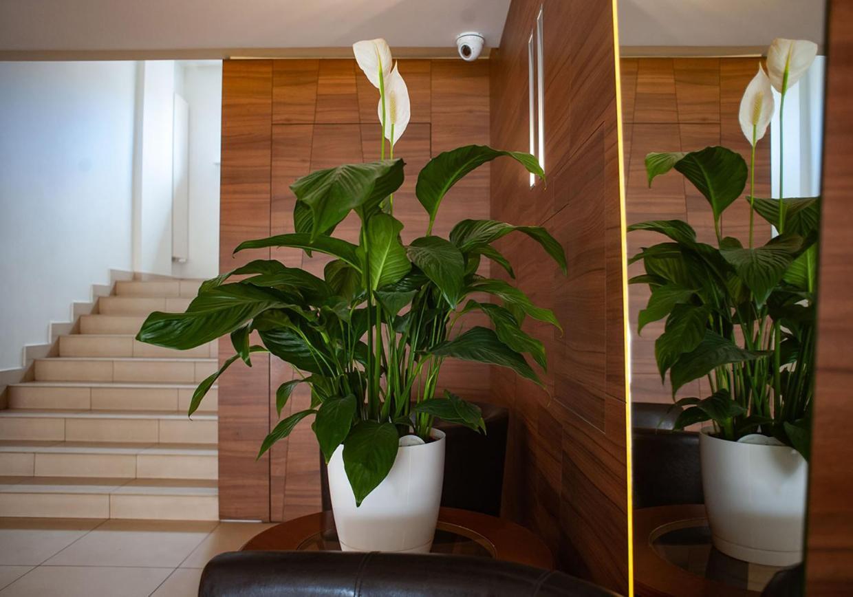 Hotel Livia فوومين المظهر الخارجي الصورة