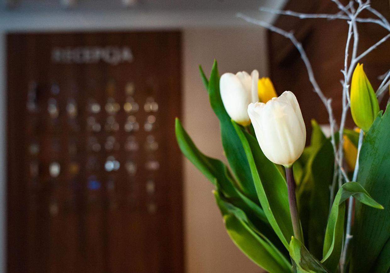 Hotel Livia فوومين المظهر الخارجي الصورة